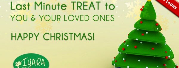 christmas-banner-web